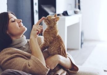 ﻿Kabar Gembira,&nbsp;Pelihara Kucing Ternyata Bisa Tingkatkan Kesehatan Fisik dan Mental