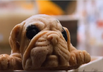 Mirip Seperti Aslinya, Buat Kita Tak Tega Santap Puppy Es Krim Ini