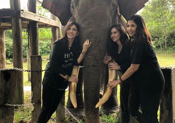 Bersama Gerakan Gelang Harapan, 3 Artis Perempuan Ini Berkunjung ke Tesso Nilo Bertemu Gajah