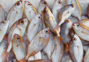 5 Tips Membersihkan Sisik Ikan dengan Mudah dan Praktis