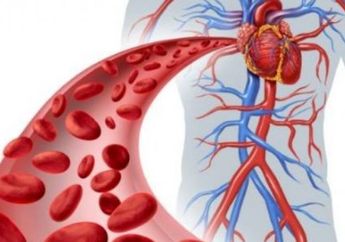 7 Asupan Makanan yang Dapat Membuat Sirkulasi Darah di dalam Tubuh Lancar