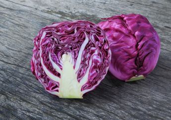 Cegah Osteoporosis Hingga Kanker, Inilah Deretan Manfaat dari Kubis Ungu, Kepoin yuk!