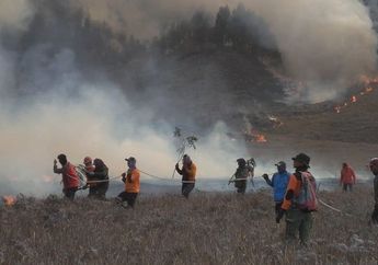 Kebakaran di Gunung Bromo: Rumput Kering, Angin Kencang, dan Medan Jadi Penyebab Api Sulit Dipadamkan