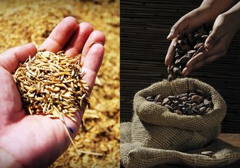 5 Bahan Alami Ini Ampuh Usir Bau Tak Sedap dalam Ruangan, Salah Satunya dengan Beras!