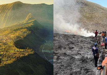 Kondisi Bukit Teletubbies Sebelum dan Pasca Kebakaran di Gunung Bromo