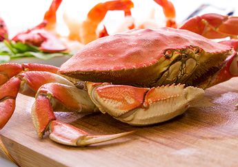 Arti Mimpi Tentang Kepiting di Bawah Kulit Menandakan Sebuah Kemurnian dan Kerahasiaan Akan Hal Ini