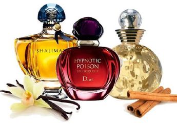 Rekomendasi Parfum yang Cocok dengan Zodiakmu