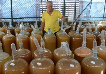 Di Kuba Kondom Digunakan Untuk Ikat Rambut Hingga Penutup Botol Anggur