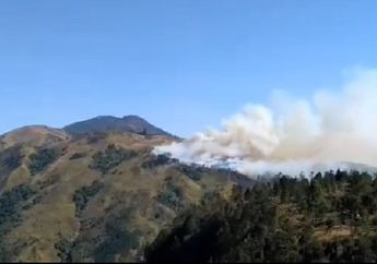 Niat Hati Mendaki Puncak Gunung Lawu Demi Rayakan Malam Satu Suro, Kakek 81 Tahun Asal Blora Malah Ditemukan Linglung di Tengah Hutan