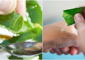 Perawatan untuk Neuropati Kaki Diabetik dengan Lidah Buaya dan 4 Manfaat Lainnya!