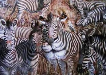 Tes Kepribadian : Ungkap Rahasia Karaktermu Lewat Hewan Pertama yang Kamu Lihat