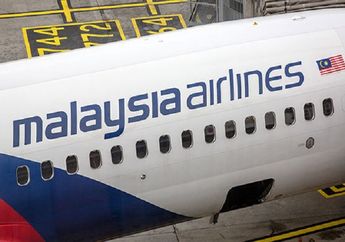 Google Maps Temukan Pesawat Misterius di Hutan Negara Kamboja, Diduga MH370 Malaysia