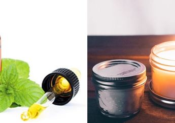 Cara Ampuh Basmi Tikus Hingga Kecoa dalam Satu Malam dengan Bahan ini