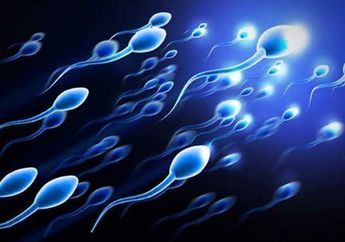 9 Makanan yang Bisa Meningkatkan Kualitas Sperma Pasanganmu 