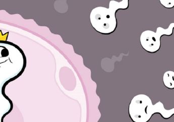 Wajib Dikonsumsi Laki-Laki, Makanan ini Buat Sperma Gesit dan Kuat