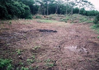 Perempuan di Bogor Ditemukan Tergeletak di Lahan Kosong dalam Kondisi Bersimbah Darah, Sempat Minta Pertolongan Warga: Tolong..