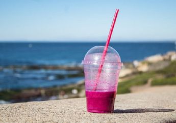 Mulai 2019, Pemerintah Malaysia Larang Penggunaan Sedotan