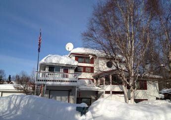 Hidup di Alaska Harus Berdampingan dengan Hewan ini, Mencelakainya Bisa Kena Hukum Kurungan