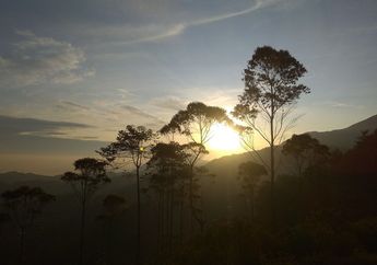 Dana Desa Bantu Petani Kopi Cupunagara Jadi Sejahtera