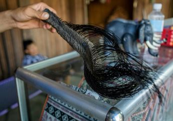 Demi Keberuntungan, Warga Vietnam Tega Memotong Ekor Gajah