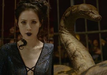 Sosok Asli Nagini dalam Mitologi Jawa, Ternyata Berbeda dari Versi JK Rowling