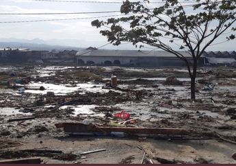 Pelabuhan Pantoloan Mengalami Kerusakan Parah Akibat Gempa di Palu