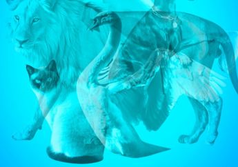 Tes Kepribadian : Hewan yang Pertama Kali Kamu Lihat Akan Tunjukkan Situasi yang Sesungguhnya Kamu Alami Sekarang