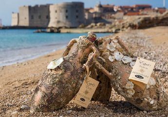 Mysterium, Pesona Kenikmatan Wine Bawah Laut Asal Kroasia