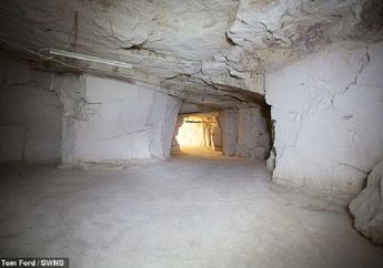 Telusuri Ladang Ganja di Bawah Tanah yang Bernilai Rp19 Miliar