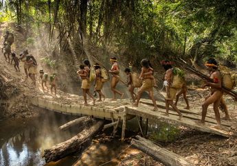 Suku Awa, Penduduk Pedalaman Hutan Amazon yang Terancam Punah