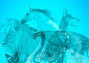 Tes Kepribadian : Hal Pertama yang Dilihat Wanita Akan Ungkap Sikapnya Kelak Saat Menjadi Istri