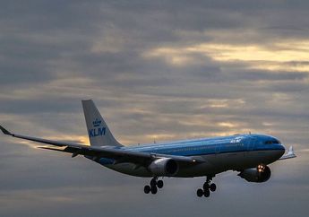 Gara-gara Penumpang Berkelahi di Pesawat, Angkatan Udara Belanda Kirim Dua F-16