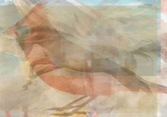 Tes Kepribadian : Hewan yang Pertama Kali Dilihat Akan Ungkap Sifatmu yang Sesungguhnya