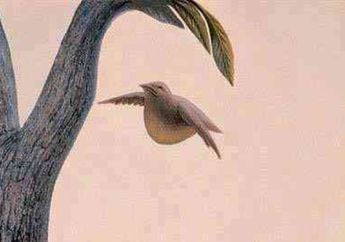 Tes Kepribadian : Gambar Pertama yang Dilihat Akan Ungkap Hal yang Paling Menyulut Emosimu dalam Asmara