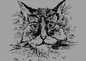 Tes Kepribadian : Hal Pertama yang Dilihat Wanita Akan Ungkap Apakah sang Pria Idaman Juga Menyukainya