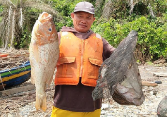 Arti Mimpi Menangkap Ikan Pertanda Untung Besar? Inilah Makna Sesungguhnya, Bisa Jadi Malah Isyarat Kena Tipu hingga Ngebet Ingin Punya Pasangan