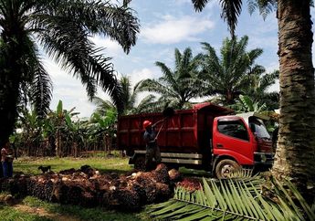 Raih Peringkat ke 6 dari 100 Desa Terbaik di Indonesia, Masyarakat Desa Kota Bani Rasakan Manfaat Dana Desa
