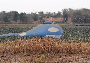 5 Potret Terkini Meikarta Pasca Bupati Bekasi dan Pihak Developer Terjerat Kasus Suap