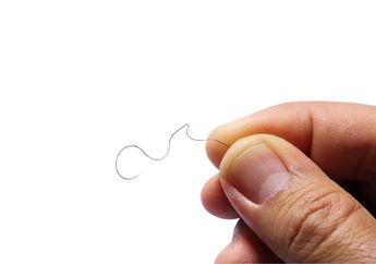 5 Fakta Enggak Terduga Tentang Rambut Vagina. Kamu Sudah Tahu?