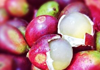 Berasal dari Indonesia, Siapa Sangka Buah Langka ini Harganya Fantastis