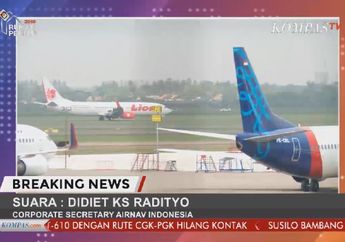 Lion Air JT610 Jatuh, Ketua KNKT: Pesawat Relatif Masih Baru
