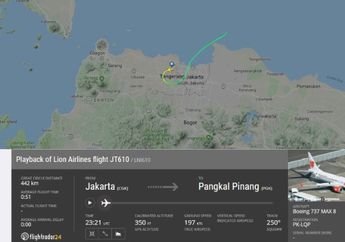 Mulai dari Gangguan Teknis Hingga Kemungkinan Terjadinya Bird Strike, Inilah Beberapa Dugaan Penyebab Jatuhnya Pesawat Lion Air JT 610 Menurut Para Pengamat