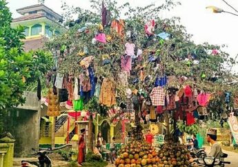 Maulid Nabi 2018: Mengenal Tradisi Keresan di Mojokerto, Warga Berebut Hasil Bumi yang Digantung di Pohon Kersen