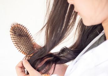 Simak yuk Cara Mengatasi Rambut Rontok dengan Buah Tomat!   