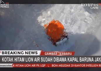 5 Potret Proses Pengangkatan Black Box Pesawat Lion Air Jatuh