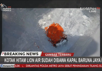 Black Box Lion Air JT 610 Sudah Ditemukan dan Harus Disimpan di Dalam Air, Ternyata Ini Alasannya!