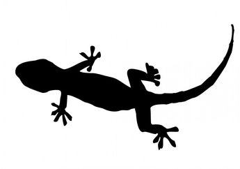 Risih dengan Cicak? Ini Cara Mengusir Cicak di Rumah dengan Aman, Mudah, dan Ampuh