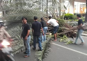 Akibat Angin Kencang yang Melanda Jakarta Selatan, Sebuah Mobil Sedan Tertimpa Pohon Tumbang