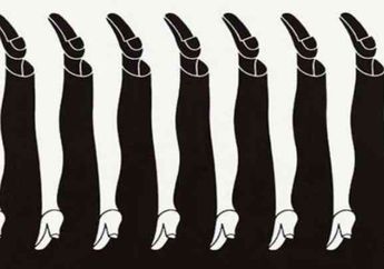 Tes Kepribadian : Hal Pertama yang Dilihat Akan Ungkap Watak Aslimu Saat Menghadapi Orang Lain