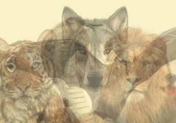 Tes Kepribadian : Hewan yang Pertama Dilihat Akan Ungkap Sifat yang Tak Disadari Sudah Kamu Miliki Selama Ini